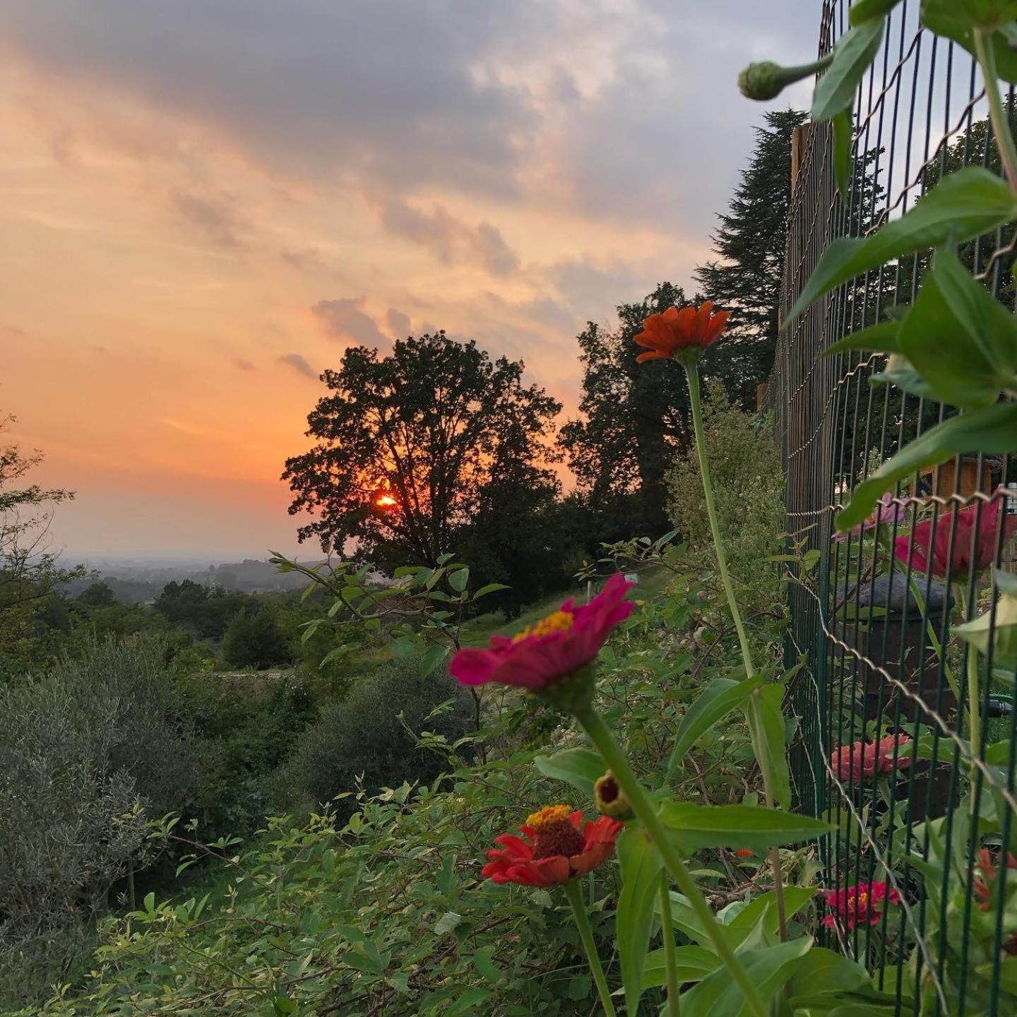 La Casita Eco Country House Bed and Breakfast Faedis Exterior foto